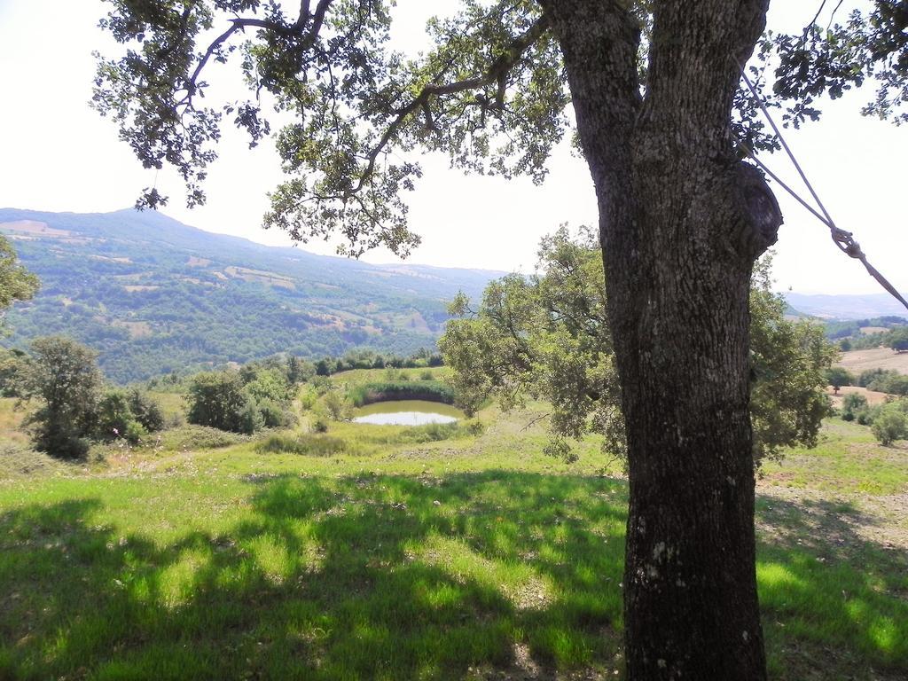 Agriturismo Sugheretello Semproniano Dış mekan fotoğraf