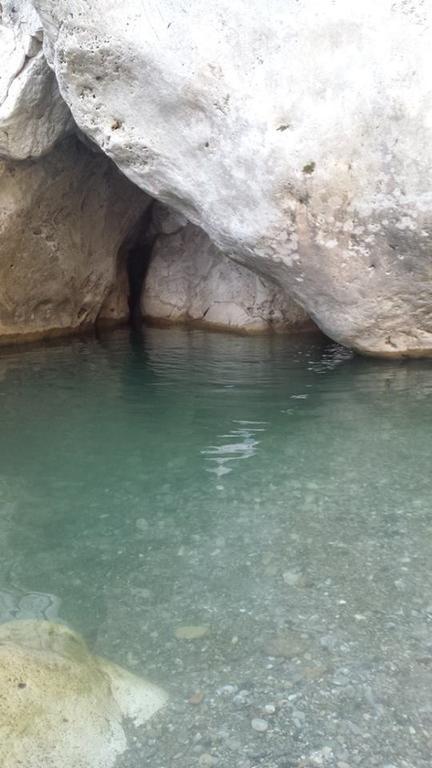 Agriturismo Sugheretello Semproniano Dış mekan fotoğraf