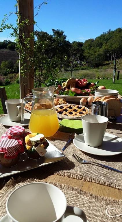 Agriturismo Sugheretello Semproniano Dış mekan fotoğraf